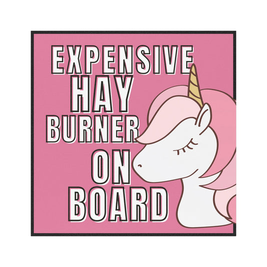 Exspensive HAY BURNER on board - Fairy